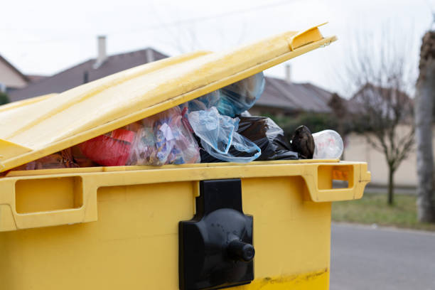 Best Dumpster Rental Services  in Valley Park, MO